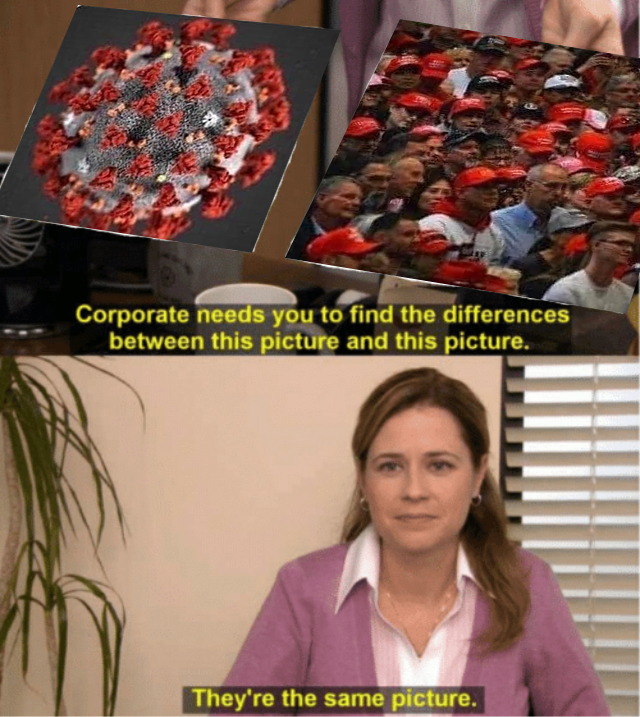 The meme is a comparison between a COVID-19 virus and a crowd of Trump supporters, implying that the two are similar in some way. The text "They're the same picture" is likely a sarcastic comment, suggesting that the two images are so similar that they could be mistaken for one another. The meme is likely making a humorous commentary on the similarity between the virus and the crowd, implying that they are both "the same picture" in a ridiculous or absurd way.